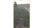 Ökologisch BAUEN mit NATUR Weitblick **RUHIGLAGE** Modul oder Stein auf Stein zum glücklich sein - Einfamilienhaus Nuthe-Urstromtal Nuthe-Urstromtal | Angebot:22485932