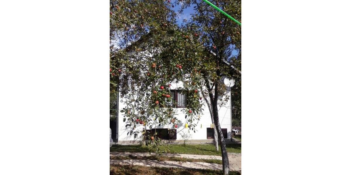 Einfamilienhaus Künzelsau - 5 Zimmer, 100 m&sup2;, 70.000&euro; | Angebot:25646468