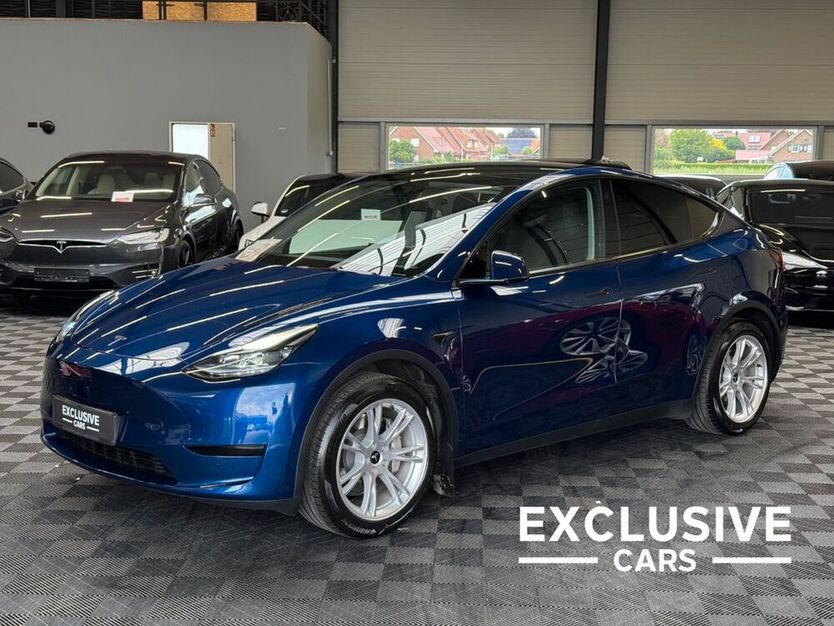 Model Y