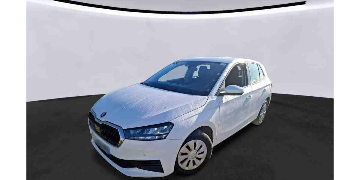 Skoda Fabia 47.360 km 11.310 &euro; Hagen 58091