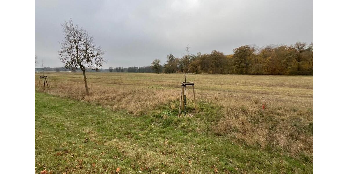 Grundstück Milower Land - 60.000&euro; | Angebot:20370793