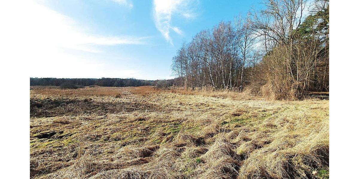 Grundstück Güstrow - 15.000&euro; | Angebot:25939510