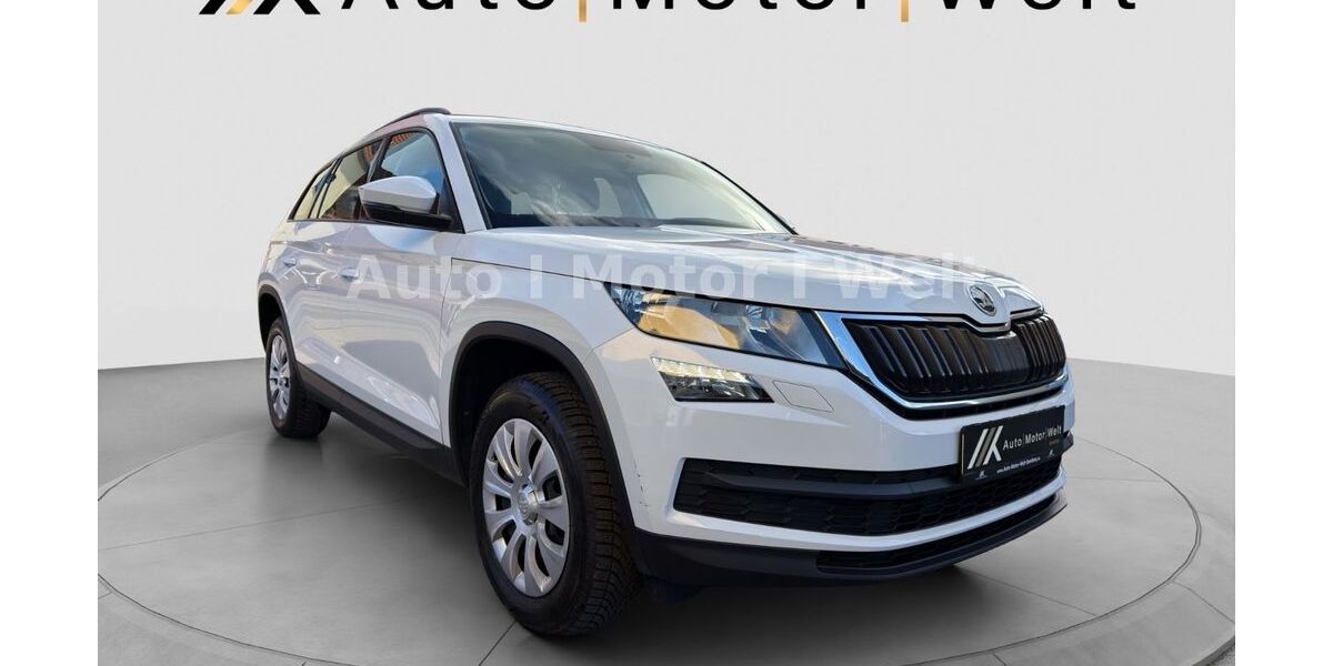 Skoda Kodiaq 167.766 km 15.799 &euro; Bamberg 96052