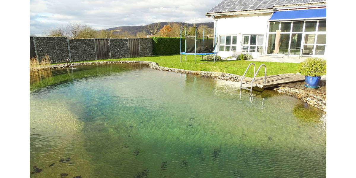 Einfamilienhaus Grenzach-Wyhlen Wyhlen - 7 Zimmer, 400 m&sup2;, 2.200.000&euro; | Angebot:25727824
