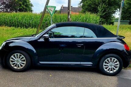 VW Beetle