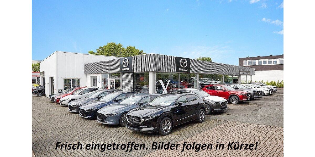 Mazda CX-60 10.033 km 43.980 &euro; Schwerte 58239
