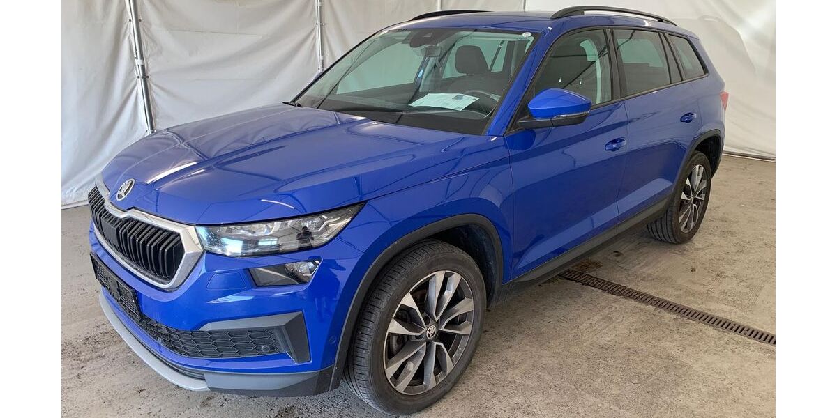 Skoda Kodiaq 166.496 km 20.490 &euro; Steinbach-Hallenberg OT Herges-Hallenberg 98587