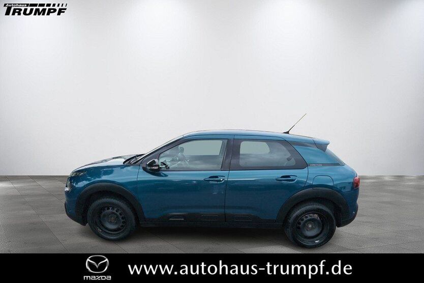 C4 Cactus