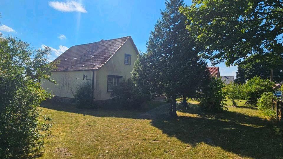 Einfamilienhaus Pritzwalk - 5 Zimmer, 114 m&sup2;, 145.000&euro; | Angebot:26963770