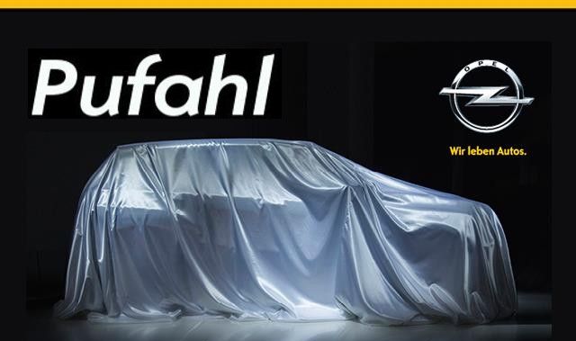 Opel Grandland (X) 25.000 km 22.850 &euro; Lengerich 49525