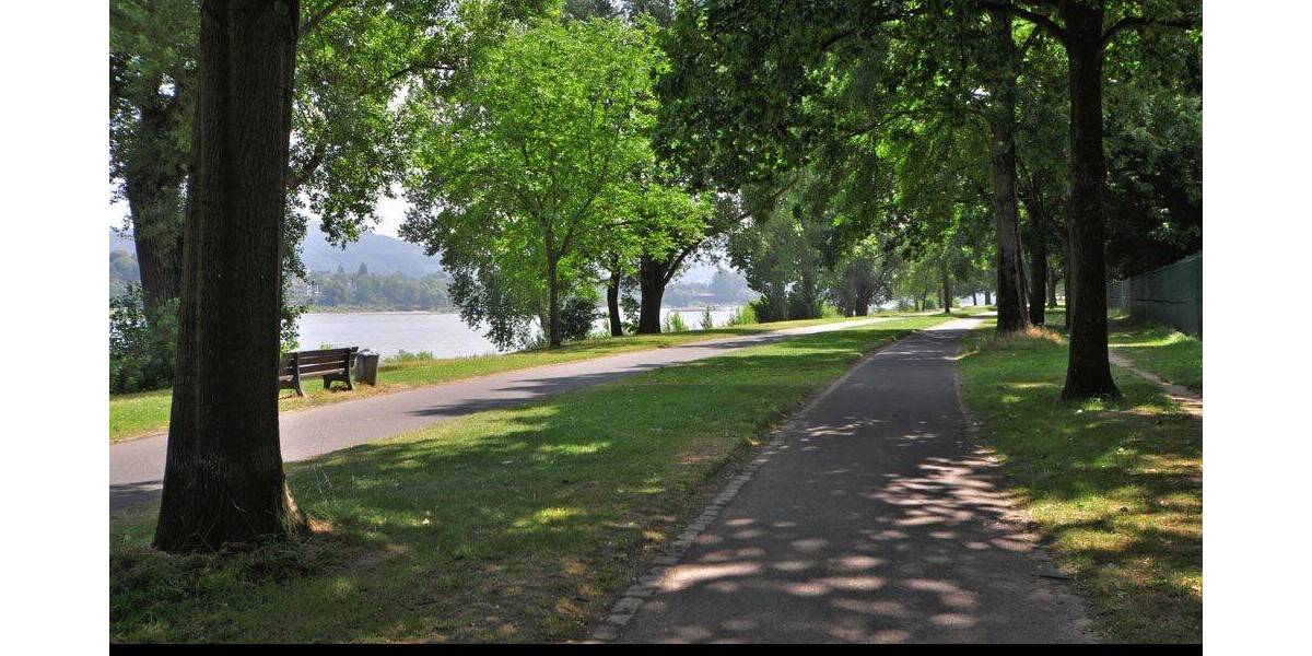 Plittersdorf: Baugrundstück mit Townhouse-Projektierung in Rheinnähe. zimmer