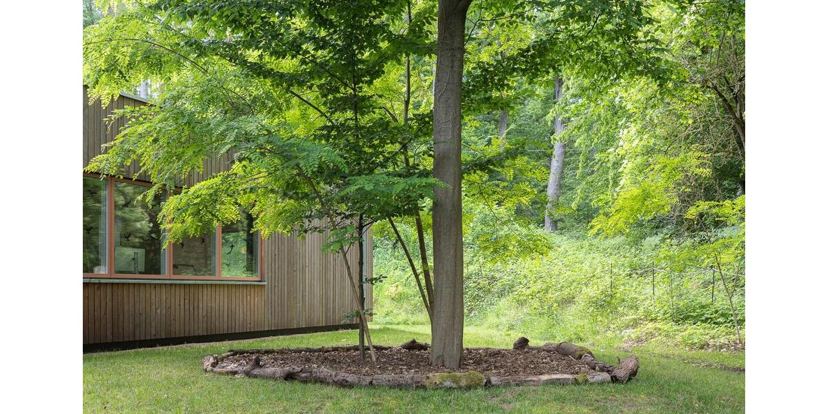 Bungalow Hitzacker (Elbe) - 4 Zimmer, 120 m&sup2;, 1.596&euro; | Angebot:25843287