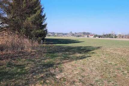 Grundstück Schönwald - 69.990&euro; | Angebot:24517057