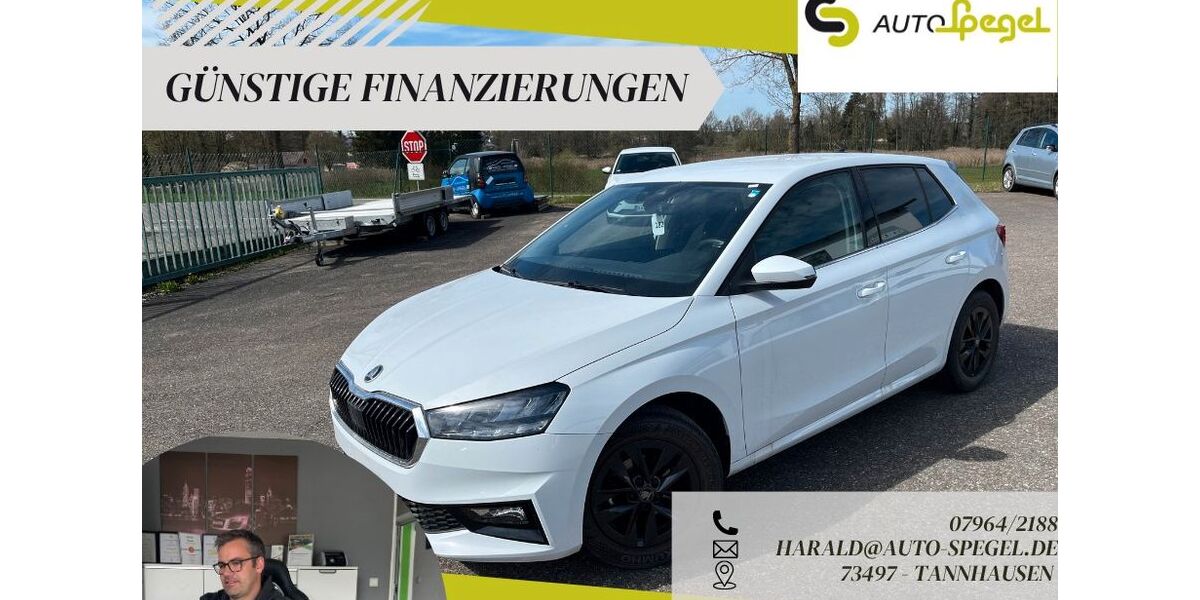 Skoda Fabia 11.503 km 16.390 &euro; Tannhausen 73497