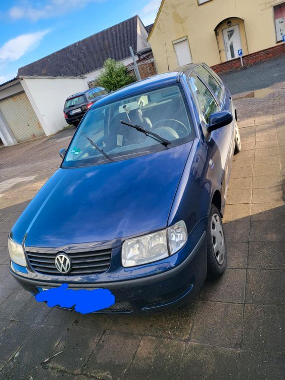 Polo