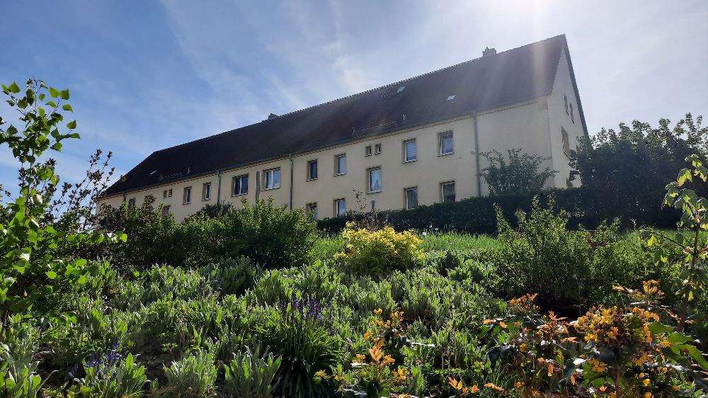 Wohnung zum Mieten in Mülsen 295 € 44 m² 2 zimmer