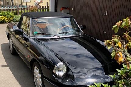 Alfa Romeo Spider