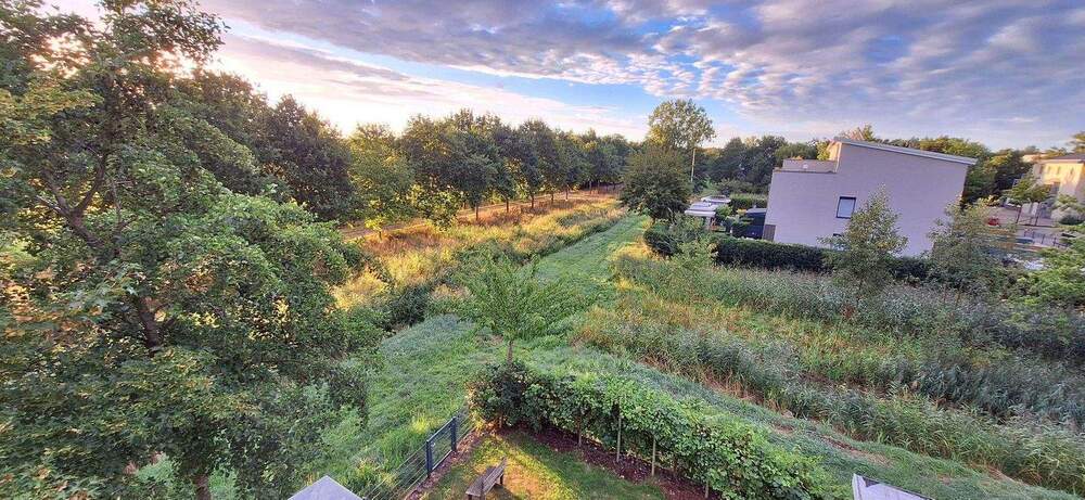 Reihenendhaus Bremen Oberneuland - 5 Zimmer, 180 m&sup2;, 795.000&euro; | Angebot:25784562