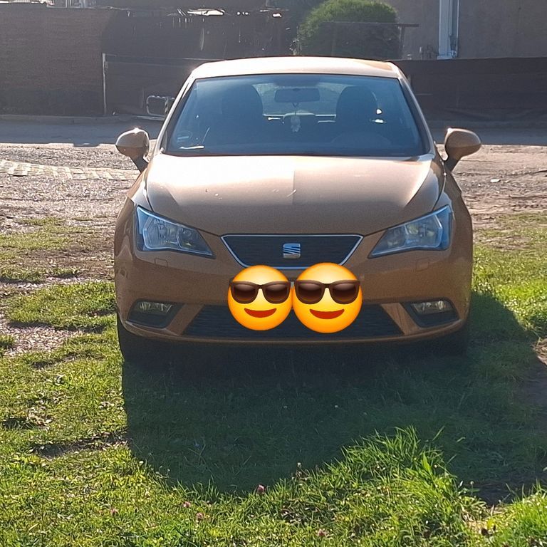 Seat Ibiza 132.000 km 5.500 € Arnstein OT Sandersleben 06456