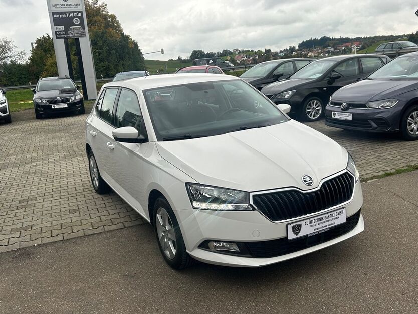 Skoda Fabia 100.618 km 8.500 € Wangen 88239
