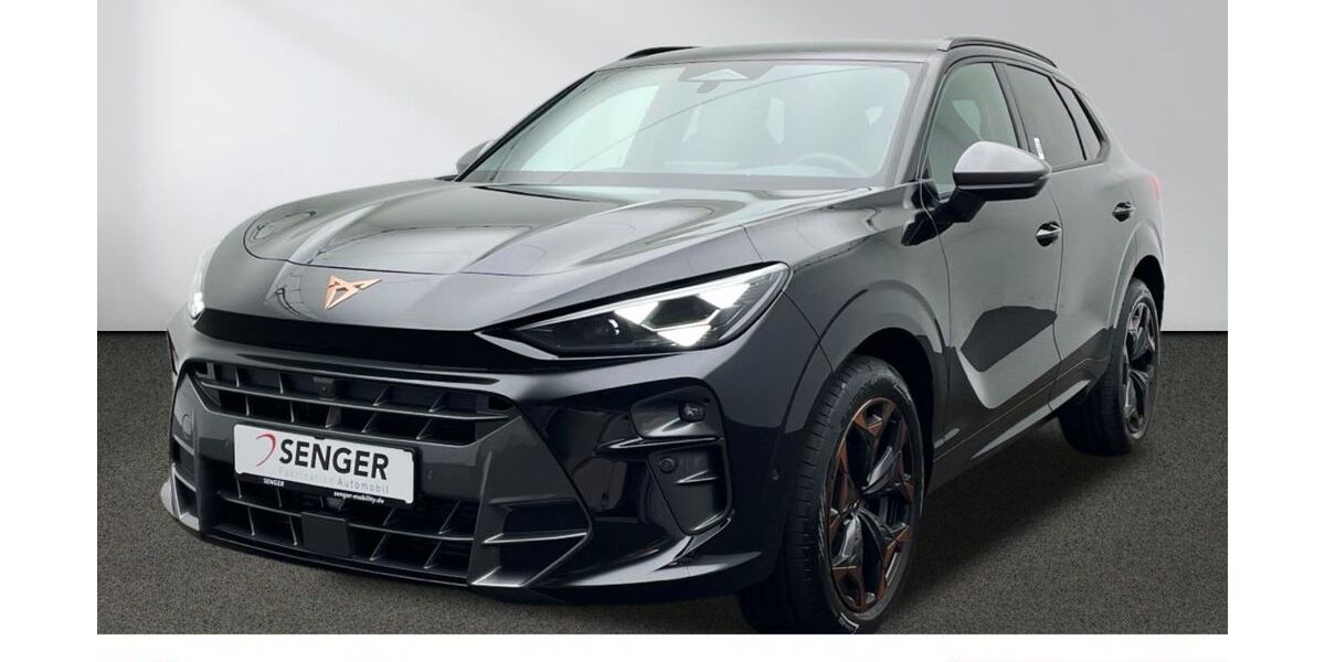 Cupra Terramar 7.000 km 39.980 &euro; Münster 48157