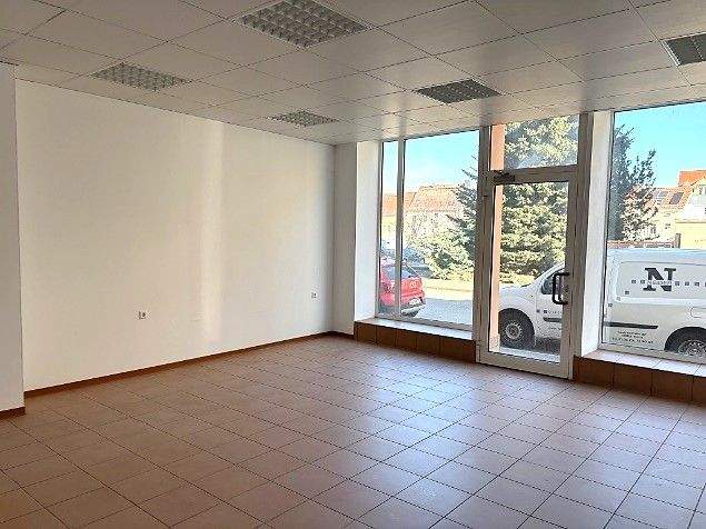 Gewerbeobjekt Riesa Innenstadt - 220.000&euro; | Angebot:25864429