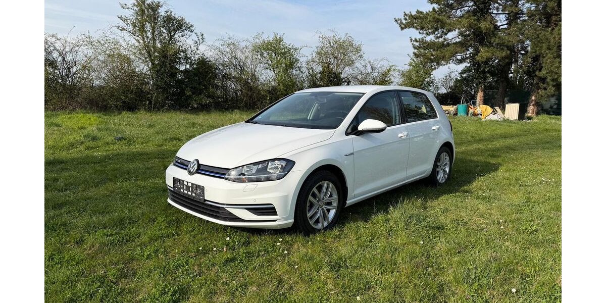 VW Golf 53.750 km 14.490 &euro; frankenthal 67227