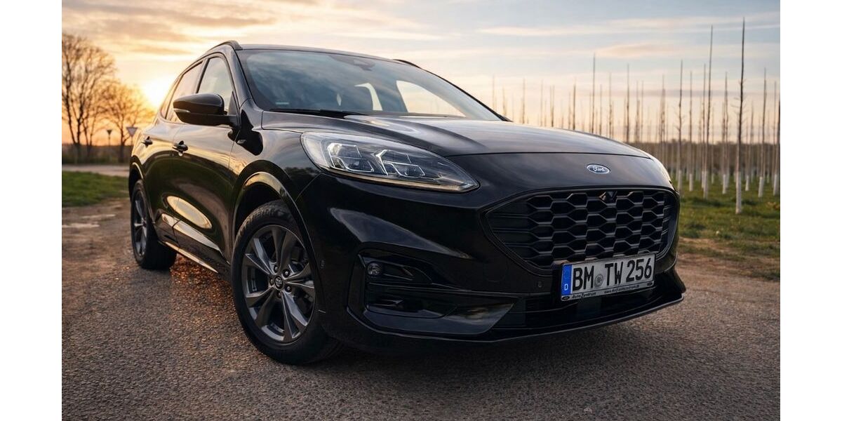 Ford Kuga 71.800 km 17.700 &euro; Bad Münstereifel 53902