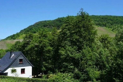 Grundstück Traben-Trarbach Trarbach - 59.999&euro; | Angebot:26753990