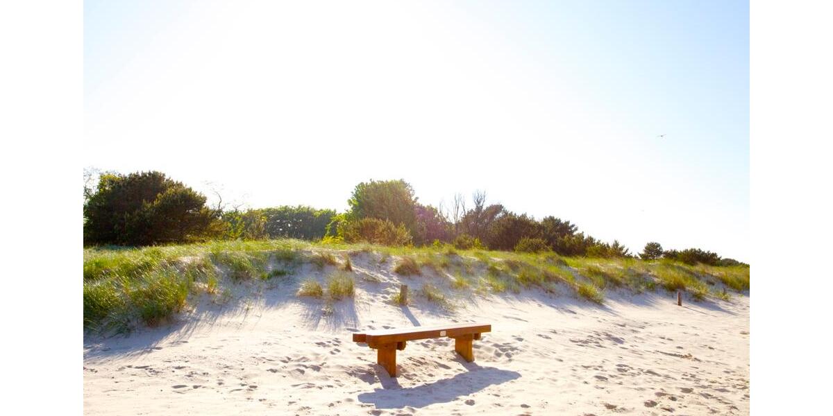 Nachmieter für: 2-Zi-WE0.1 KH_FH- EBK, FB-Heiz, Terrasse, Parken 2 zimmer