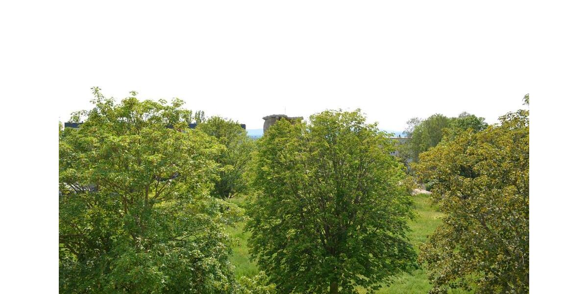 Etagenwohnung Sangerhausen - 4 Zimmer, 72 m&sup2;, 417&euro; | Angebot:26381085