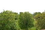 Etagenwohnung Sangerhausen - 4 Zimmer, 72 m&sup2;, 417&euro; | Angebot:26381085