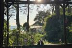 Bungalow Meesiger - 2 Zimmer, 35 m&sup2;, 50.000&euro; | Angebot:26155195