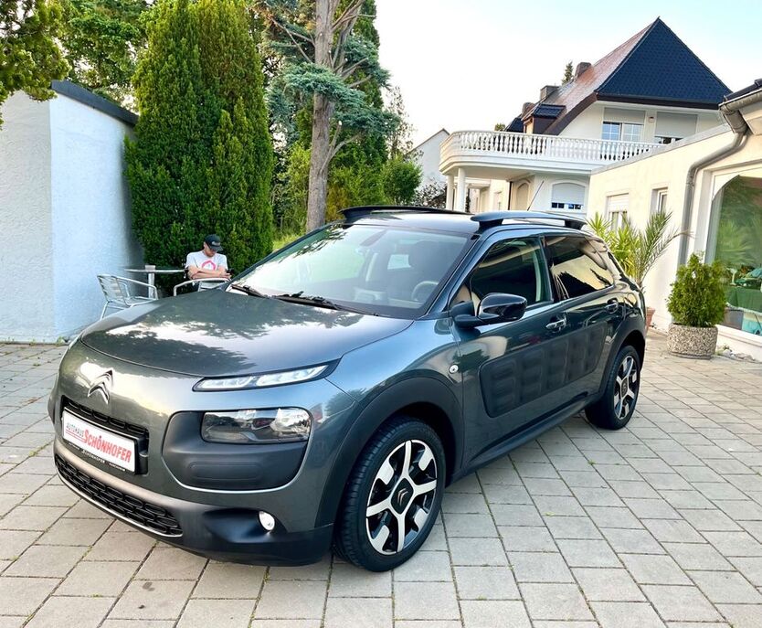 C4 Cactus