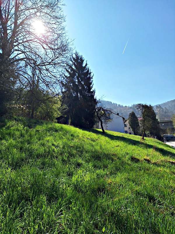 Grundstück zu verkaufen in Calw-Hirsau 185.000 € 1240 m² zimmer