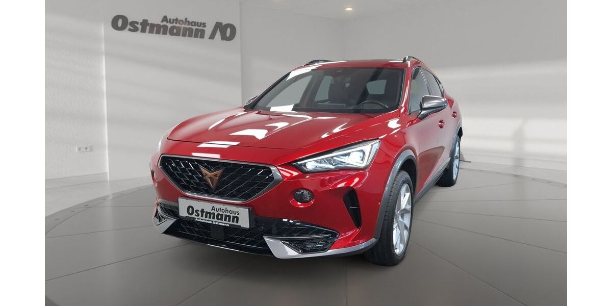 Cupra Formentor 103.122 km 17.800 &euro; Fritzlar 34560