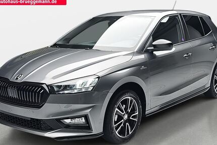 Skoda Fabia 8.790 km 19.890 &euro; Neubrandenburg 17036