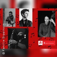 Familie Digginson Konzert Barsinghausen
