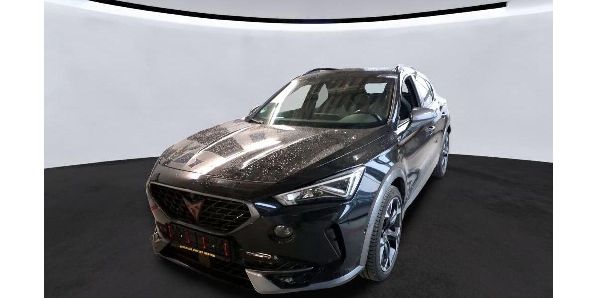 Cupra Formentor 49.065 km 27.990 &euro; Hamburg 22047