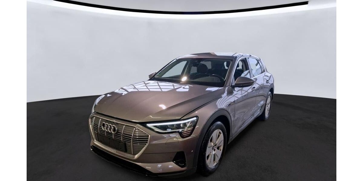 Audi e-tron 25.000 km 25.990 &euro; Bad Langensalza 99947