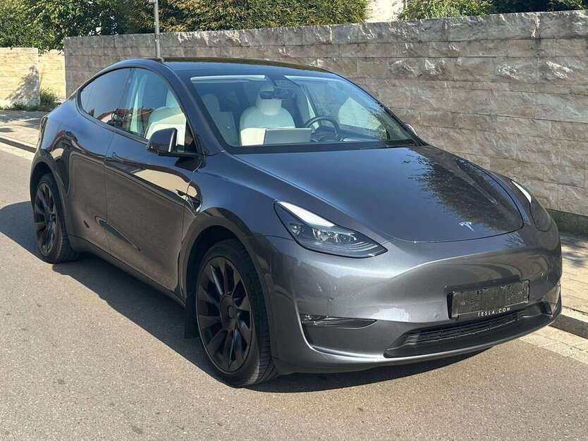 Model Y