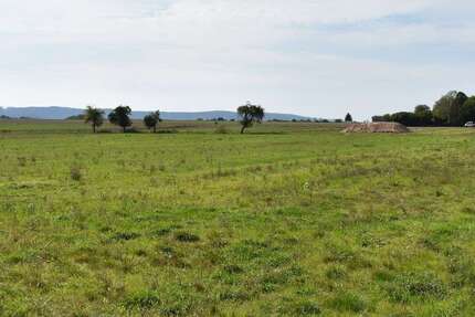 Grundstück Wildeck - 54.312&euro; | Angebot:11611404