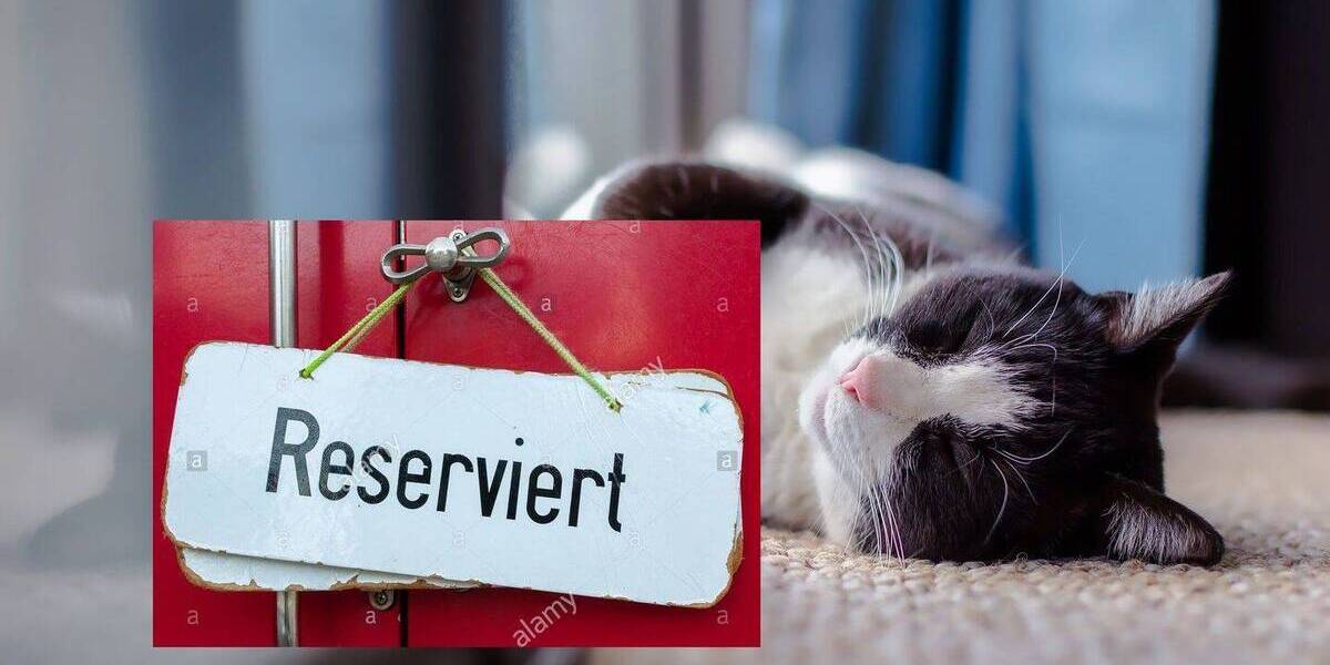 2 x kleine Apartments * voll vermietet und Energieneutral !!!! 4 zimmer