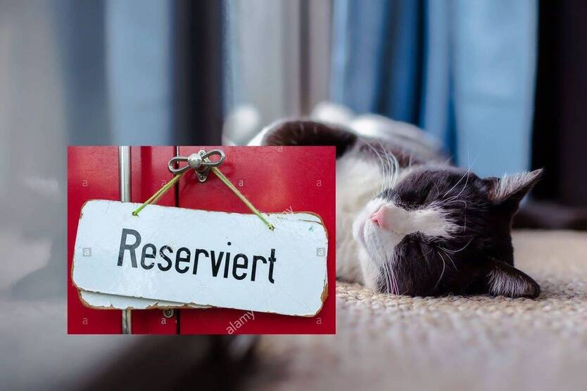 2 x kleine Apartments * voll vermietet und Energieneutral !!!! 4 zimmer