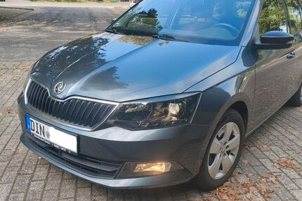 Skoda Fabia 117.700 km 7.980 € Xanten 46509