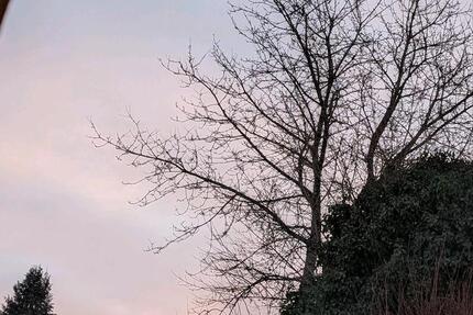 Wohnung Nümbrecht - 3.5 Zimmer, 90 m&sup2;, 850&euro; | Angebot:25363532