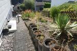 Achtung junge Familie - Freistehendes Wohnhaus mit 2 Garagen und großen Terrassen in Fell - Einfamilienhaus Fell | Angebot:27076370