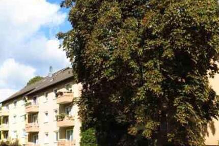 Wohnung Heiligenhaus - 2 Zimmer, 50 m&sup2;, 499&euro; | Angebot:25365390