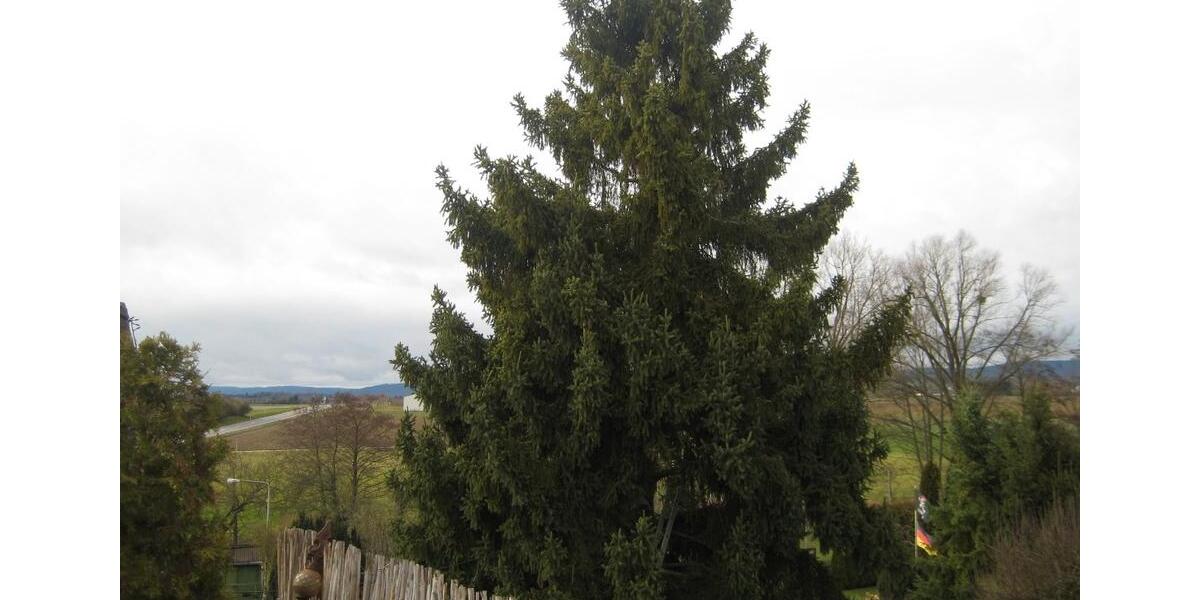 Doppelhaushälfte Wi.-Igstadt (Dachterrasse, Kachelofen, Wallbox) 4 zimmer