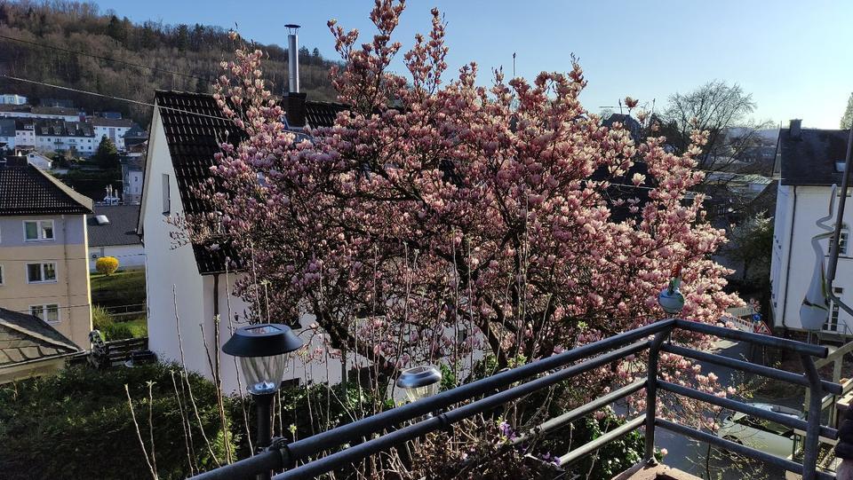 2 ZKB Wohnung in Siegen Altstadt